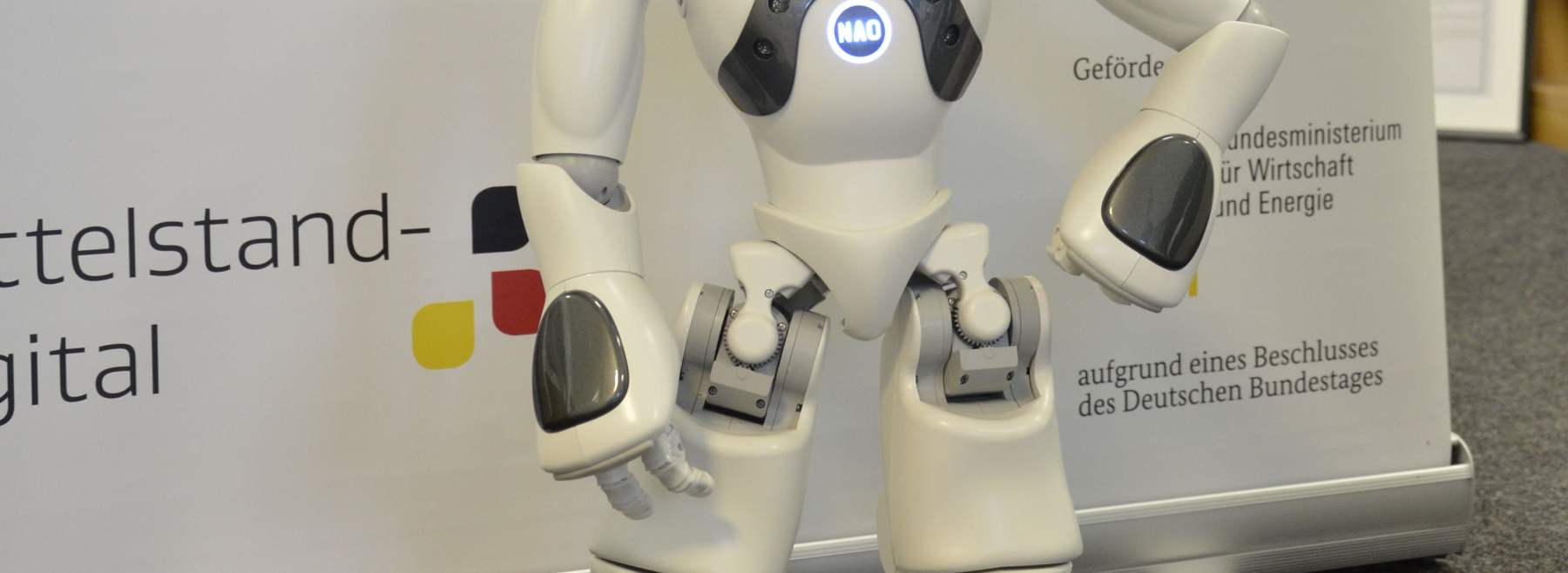 Beispielbild des Roboters