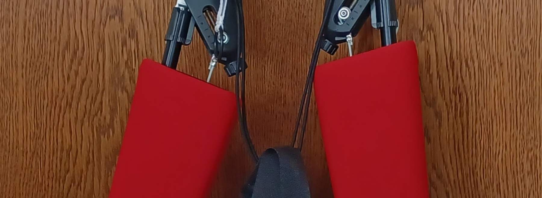 Das Exoskelett ohne Träger