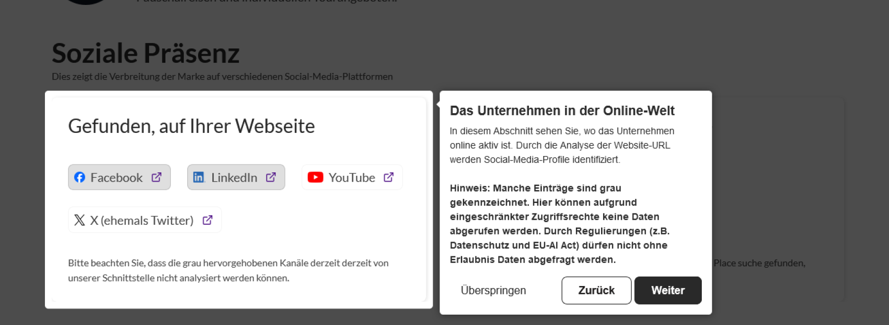 Die Präsenz des Unternehmens in den Sozialen-Medien.